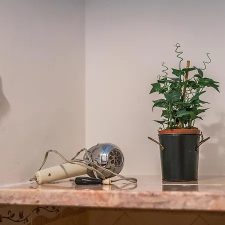 Casas De Sao Francisco Da Cha * 戈伊什